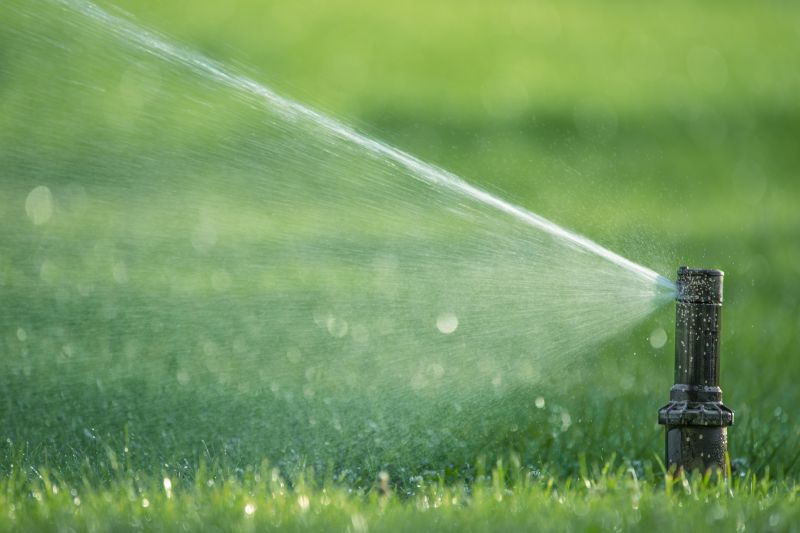 Eco-Friendly Options